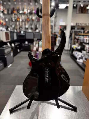 Epiphone - TBD5VSBH 3